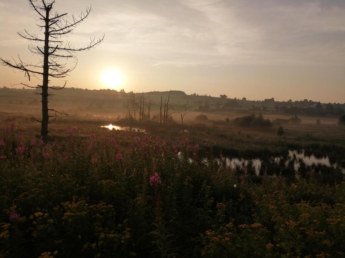Eifel Lodge Бутгенбах Екстериор снимка
